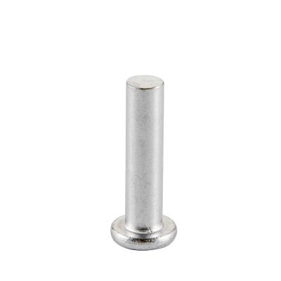 China Non Standard Stainless Steel Groove Rivet Custom Solid Hardware Fasteners Non Standard Parts for sale