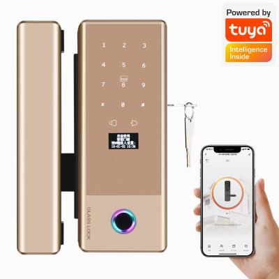 China Wireless Sliding Glass Door Smart Lock FCC Front Door Smart Lock for sale