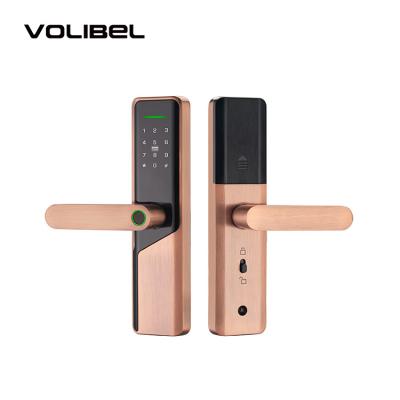 China Wifi Remote Tuya Smart Door Lock for sale