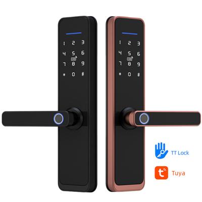 China DC6V Tuya Smart Door Lock Customized Logo Keyless Smart Lock for sale