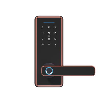 China 180mm Smart Deadbolt Door Lock Tuya Version Fingerprint Handle Lock for sale