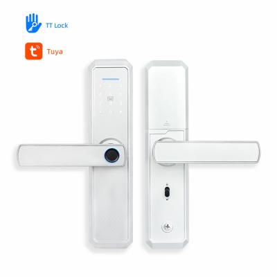 China Mirror Panel Fingerprint Smart Door Locks 6V Passcode House Lock for sale