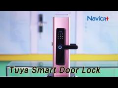 Keyless Tuya Smart Door Lock DC6V Alluminum Alloy Fingerprint Password