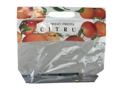 China Customized Food Packaging Stand Up Zipper Bag For Fruit With Punch Hole for sale