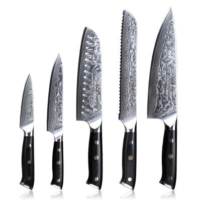 China 5 Pieces Durable Damascus Steel Kitchen Knife Set With Handle Group Of Ten for sale