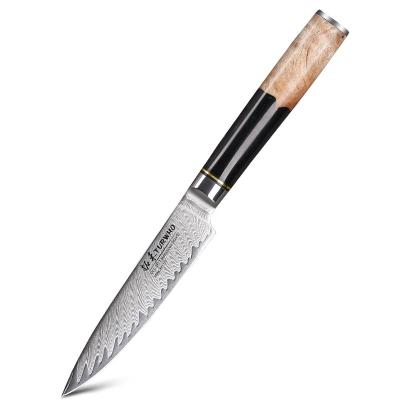 China Viable New Arrivals Damascus VG10 Luxury Steel Serving Knife For Kitchen Accessories for sale