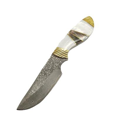 China High Quality All-Natural White Open Slide Camping Pocket Knife Shell Handle and VG10 Damascus Blade Outdoor Folding Knife for sale