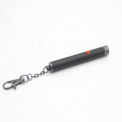 China High Quality Red Single Point Laser Pointer Red Laser Indicator 650nm 635nm 5mw 1mW with Key Chain for Teaching/Meeting/Tour-Guiding for sale