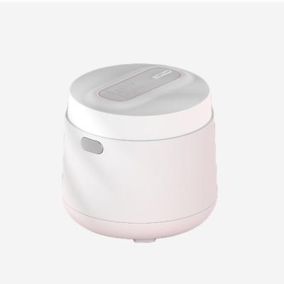 China Fashionable Multi Purpose 2L Smart Electric Rice Cooker Steamer Non Stick Electric Lining Smart Rice Cooker For Home for sale