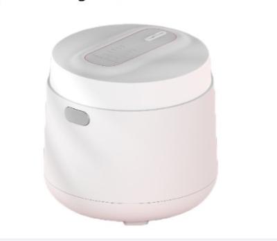 China 2023 Hot Sale Fashionable Professional Makers Home Rice Cooker Food Cooking Mini Porridge Soup Maker Digital Electric Rice Cooker for sale