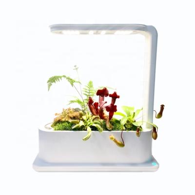 China Easily Assembled 9W Indoor Hydroponic Smart Desktop Plants Led Flowers Grow Light for sale