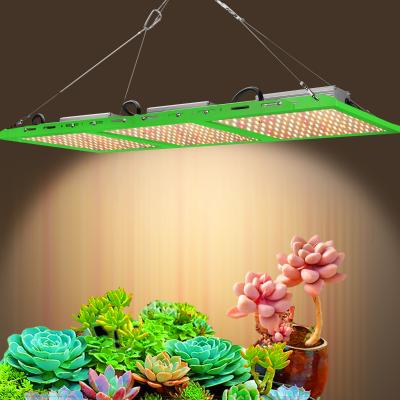 China FLOWER TB600 Factory Custom Different Power Hydroponic Folding Led To Grow Lm301h Light Bar Full Spectrum for sale