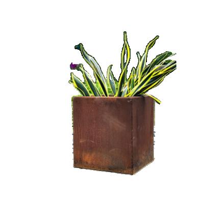 China High quality weather-resistant steel rectangular flower pots for homes and gardens customer service for sale