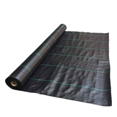 중국 Black Woven Food Grade PP Polypropylene Grass Control Fabric / Agriculture Ground Cover 판매용