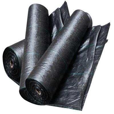 Cina High End Environmentally Friendly Biodegradable Black Woven Polypropylene Mesh Anti-Weed Mat 100% in vendita