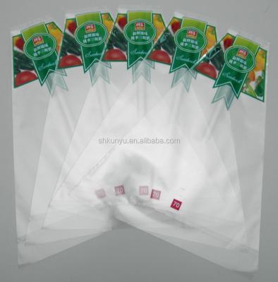 China Moisture Proof Custom Plastic Triangle Sandwich Bag for sale