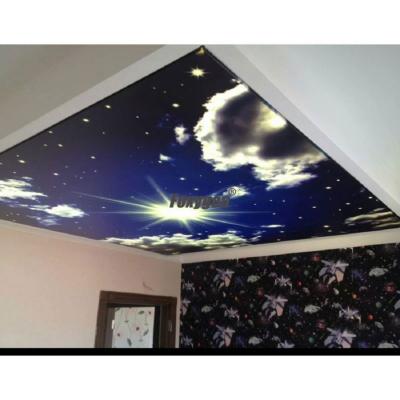 China Artistic Wallpaper Discount Ceilings False Ceiling Designs For School In China With Household Accessories Samples for sale