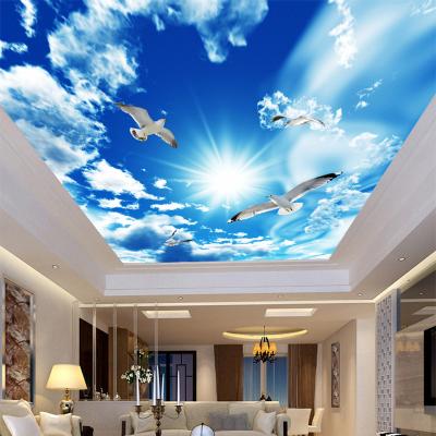 China Custom PVC Fabric Ceiling LED Lightbox 3D Blue Sky Large Stereo White Dove Nature Landscape Photo Stretch Fabric Ceiling System for sale