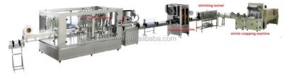 China Food Drink Machines Juice Filling Sealing Machine/Juice Hot Filling Machine Price for sale