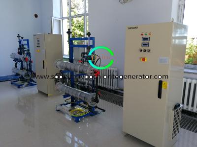 China Large Water Treatment Plant Sodium Hypochlorite Generator Custom Made for sale