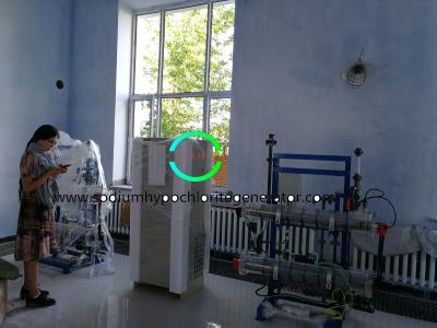 China 3000 g / h  0.8% High Purity Brine Electrolysis Sodium Hypochlorite Generation System for sale