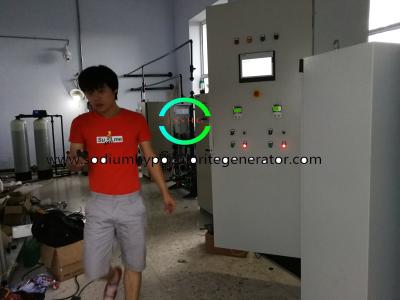 中国 海水からの理性的な次亜塩素酸塩の生成、多機能海水の電気分解 販売のため