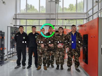 Cina Gruppo elettrogeno automatico dell'ipoclorito di sodio in vendita