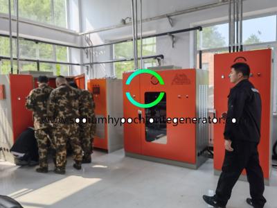 China Automatic sodium hypochlorite generator system for sale