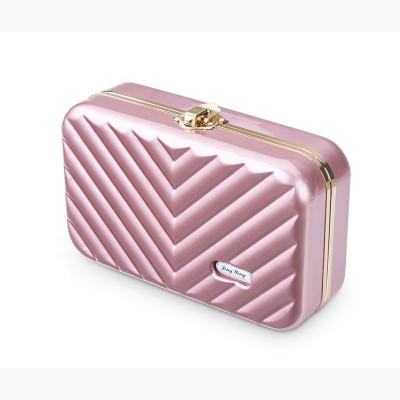 China New Fashionable Style Of Aluminum Frame Cosmetic Make Up Case For Lady for sale