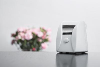 China Indoor Small white Electronic Air Purifier Ozone & Anions Output for sale