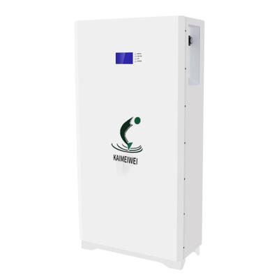 China Wall Mounted Solar Battery 5Kwh 10Kwh Powerwall Batteries 48V 51.2V 100Ah 200Ah With BMS 6000cycle Times Battery For Solar 850*460*235mm for sale