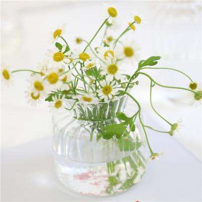 China New Next Simple Modern Glass Vase Living Room Clear Glass Vase for sale