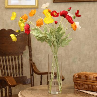 China Home CLASSIC Creative Simple Desktop Decoration Glass Bottle Decoration Transparent Vase for sale