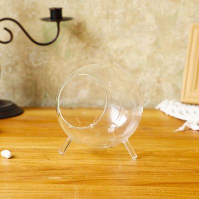 China Eco-Friendly Glass Vase Again From Succulents To Moss Glass Vase Three-Claw Transparent Modern Micro Vase Landscape for sale