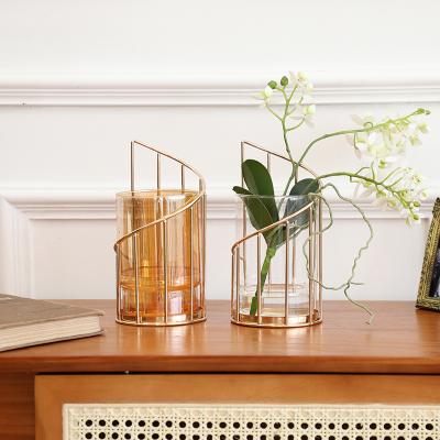 China Modern Potted Vase Home Decoration Ornaments Iron Plant Transparent Glass Vase for sale