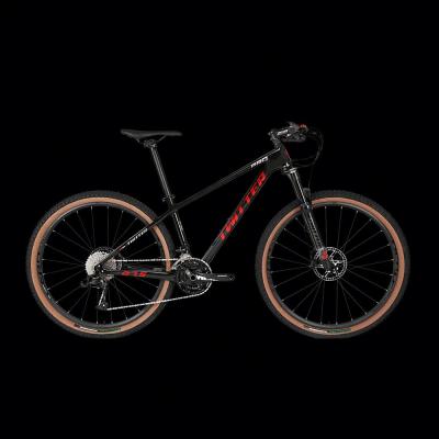 China Magnesium Alloy SUPERCHARGE Mountain Bike Double 29 Suspension Carbon Fiber Mountain Bike Reclined For Men for sale