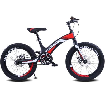 China Kids Bike With Speed ​​2021 Hot Sale Aluminum Kids Bike for sale