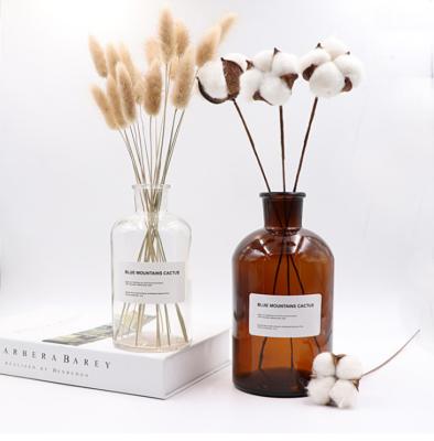 China Gift & Wholesale Craft Decoration Nordic Home Decoration Clear Glass Reagent Bottle Dried Flower Glass Tabletop Hydroponic Vase for sale