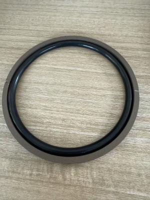 China Silicone Clear SPGO Seal Chemical Resistance Round Wear Resistant PTFE for sale