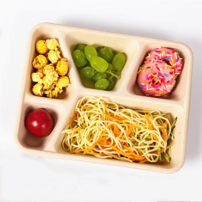 China Sustainable Hot Sale Bamboo Lunch Box Disposable Paper Food Bowl for sale