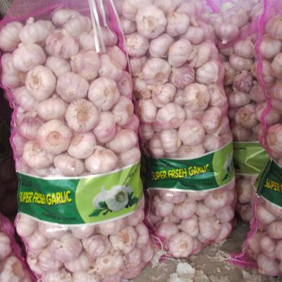 China Cheapest Price Natural Normal White Garlic in Pakistan Preserving Fresh Garlic for sale