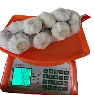 China Normal white garlic China factory supply fresh garlic export price for sale