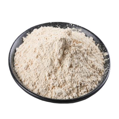 China China dehydrated vegetable garlic powder 80-100 100-120 mesh for sale