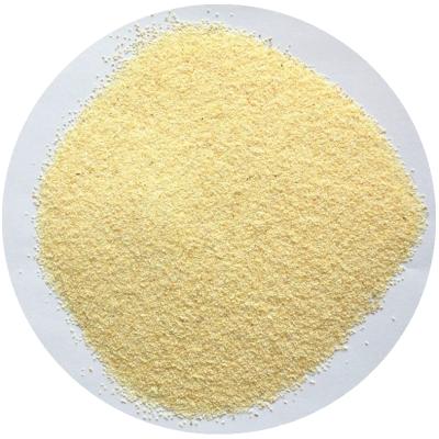 China 8-16MESH 16-26MESH garlic granules dehydrated Dehydrated Garlic Granules for sale