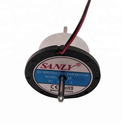 China 3000RPM 0.2A 12v Two Shafts Waterproof High Quality Brushless DC Motor for sale