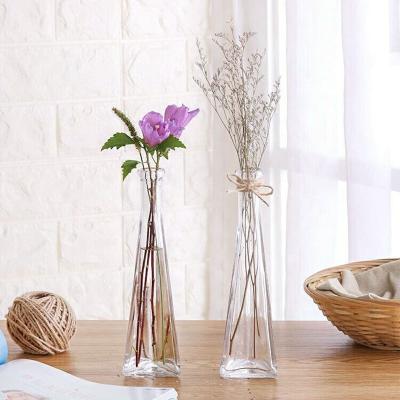 China Gift Triangle Shape Small Glass Bottle Plant Jars For Home Decoration for sale