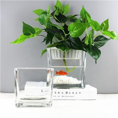 China New classic/postmodern clear glass aquarium coffee table square glass vase for home decoration for sale