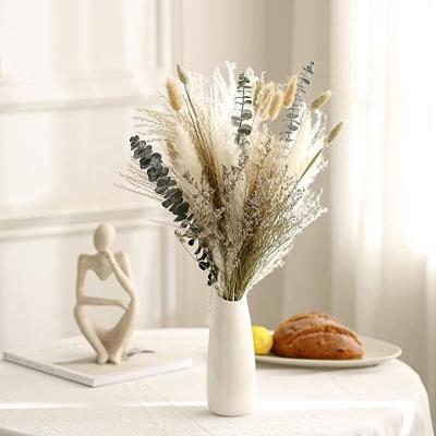 China 2022 Autumn Rabbit Bunny Tail Wedding Home Decoration Dry Pampas Grass Bouquet Boho Decor Real Flower Decor Plants Arrangements Dried Flowers for sale