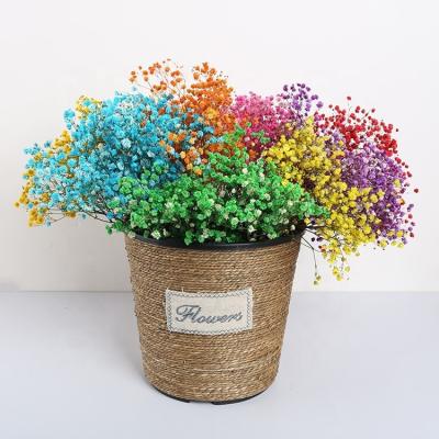 China Natural Plant Amazon Hot Selling Dried Flower Babysbreath Flower Gypsophila For Valentine's Gifts Decoration for sale