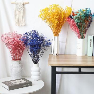 China Fashion/Hot Sale Factory Outlet Dried Babysbreath Flowers Preserved Flower For Home Wedding Party Home Shop Decoration for sale